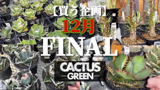 Buying Project] FINAL in 