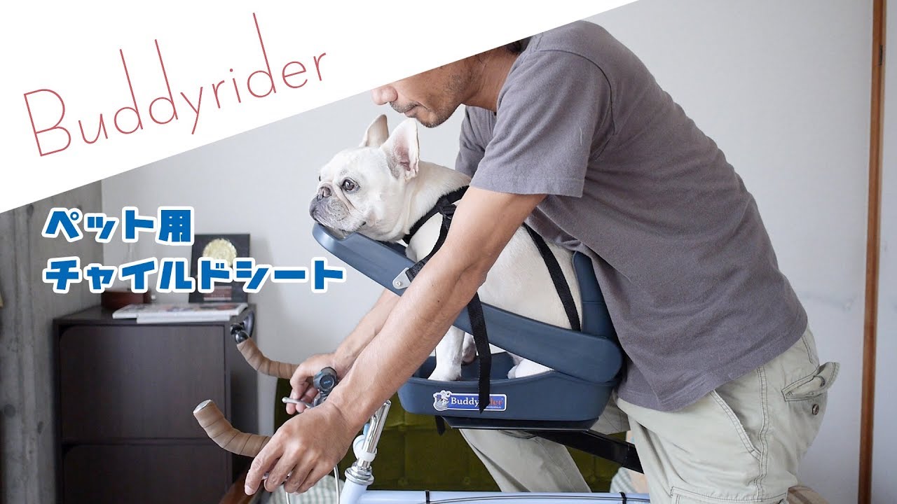 Recommended items for dogs and bicycles: The pros and cons of