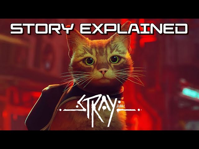 The Cat Game Explained! - YouTube