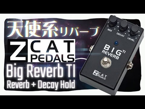 ｴﾌｪｸﾀｰ紹介 #61 Z CAT PEDALS【Big Reverb TI】 - YouTube