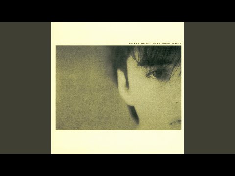 Felt – The Splendour Of Fear | Releases | Discogs