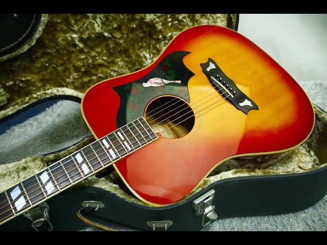 Rare 1970's made Japan VintageMORRIS Acoustic Guitar WD-35 DOVE