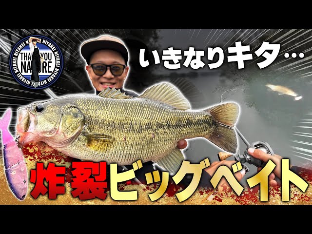 箱出し一発目でいきなり釣れる驚異のビッグベイト【バス釣り】 - YouTube