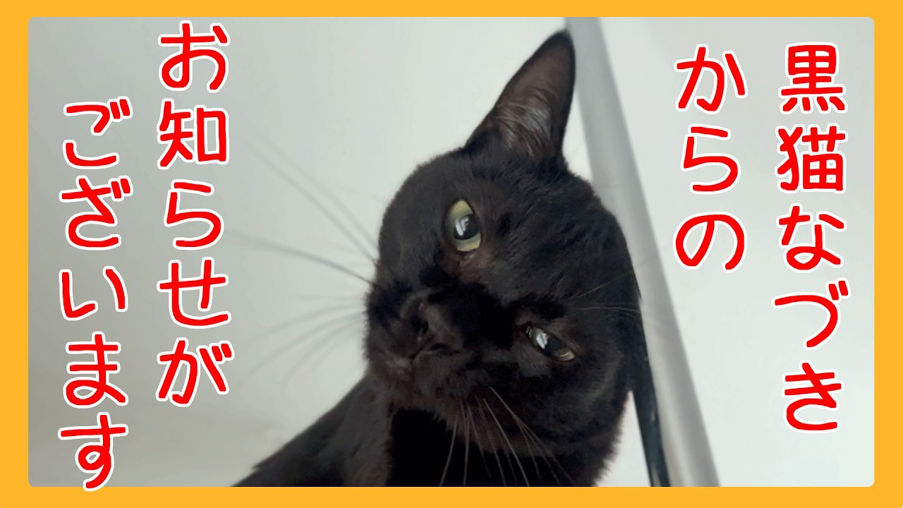 黒猫なづきからお知らせがございます - YouTube