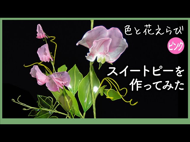 I tried making two-colored sweet peas: A guide to pink dip liquid