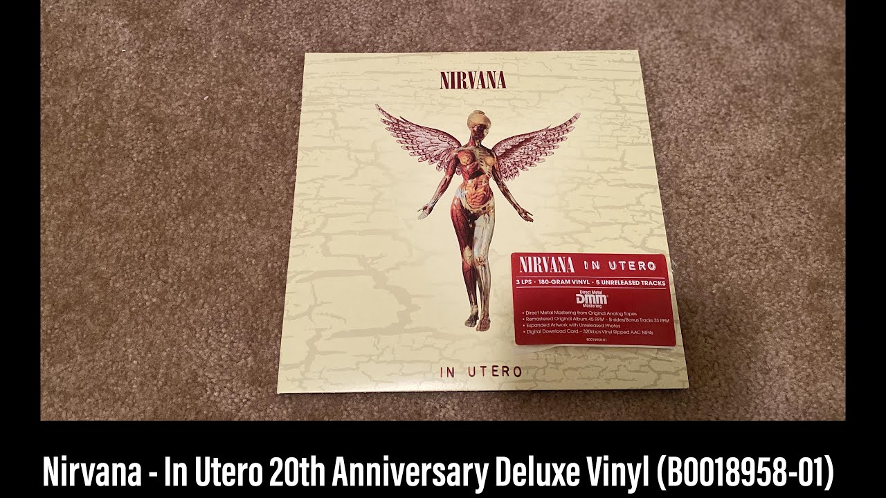 Vinyl Unboxing: Nirvana - In Utero 20th Anniversary Deluxe (1993
