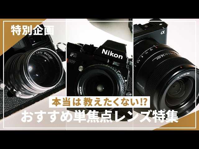 Special Feature] We will introduce recommended lenses carefully