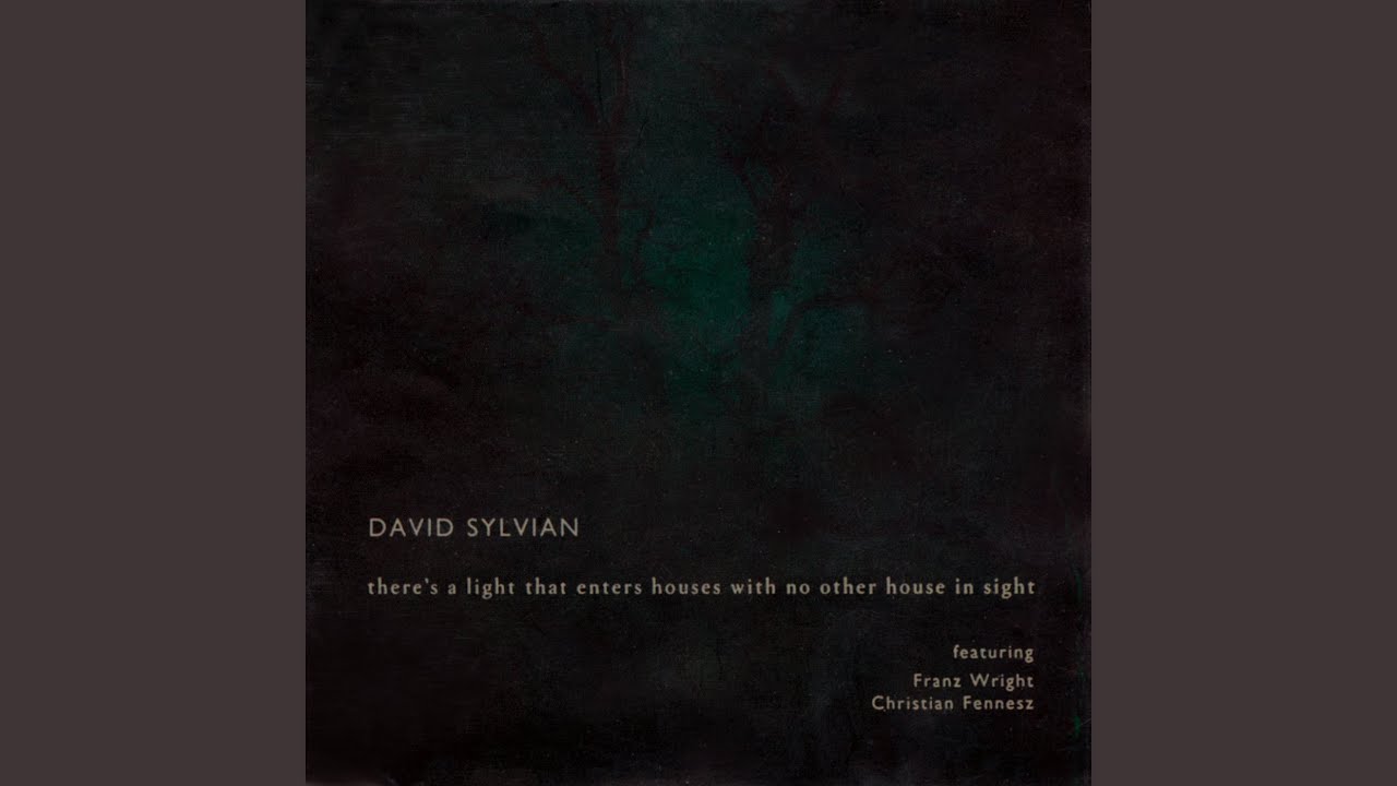 デヴィッド・シルヴィアン（David Sylvian）『There's A Light That