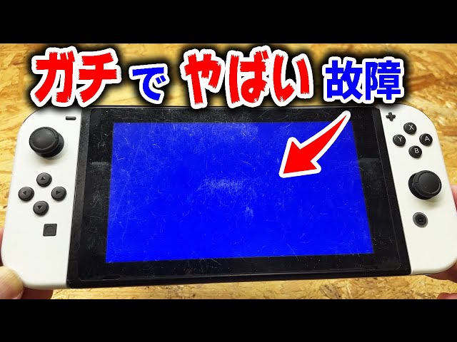 こんな酷い壊れ方してるSwitch初めて【ブルースクリーン】 - YouTube