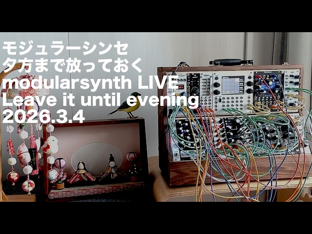 モジュラーシンセ】夕方まで放っておくライブ Leave it until evening