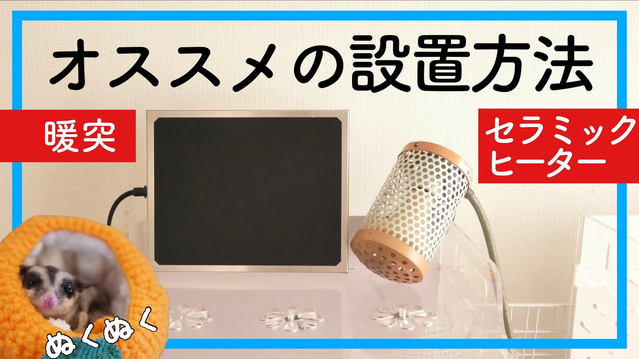 フクロモモンガ】アクリルケージの冬対策〜おすすめのヒーターをご紹介