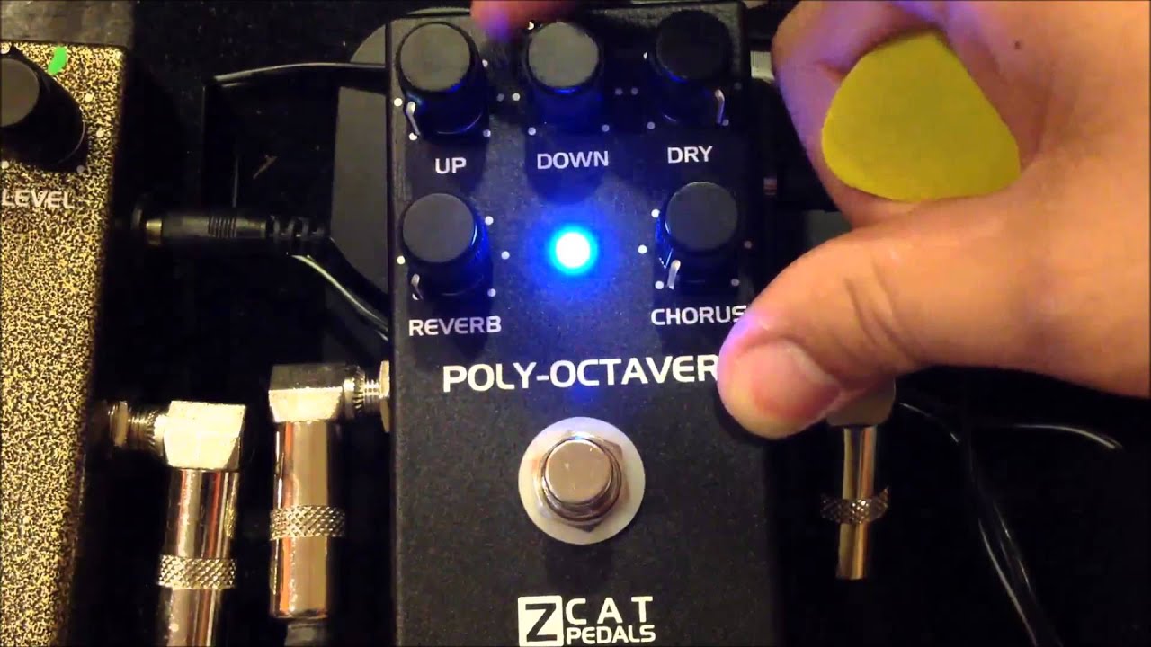 Zcat polyoctaver - YouTube