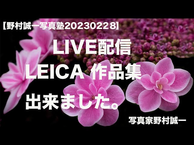 野村誠一作品集「LEICA」Issue 001 野村誠一作品集「LEICA」Issue 001