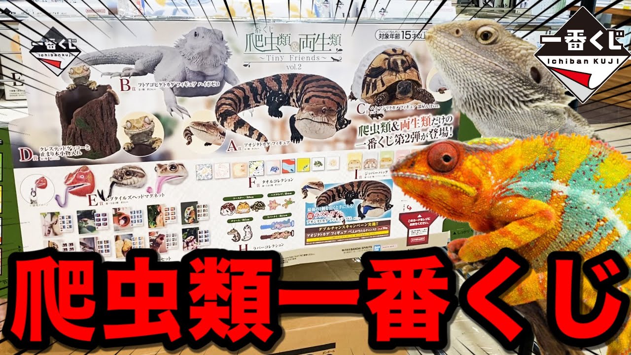 Ichiban Kuji] You can only win reptiles and amphibians. The