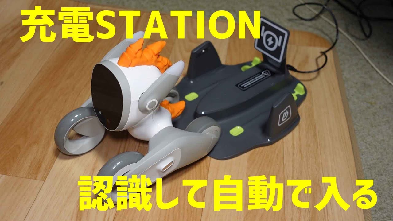 感動した！ペットロボット Loona 充電ステーションに自動で入る