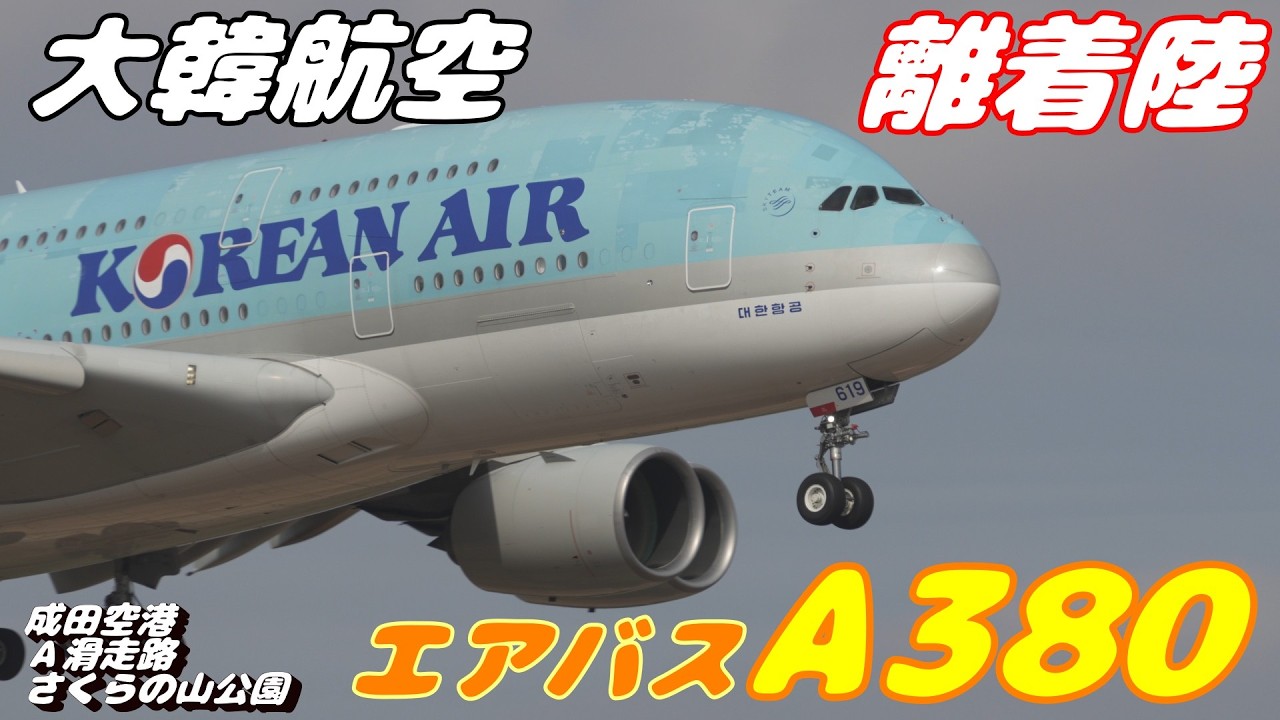4K】成田空港 さくらの山公園 Korean Air(大韓航空)エアバスA380