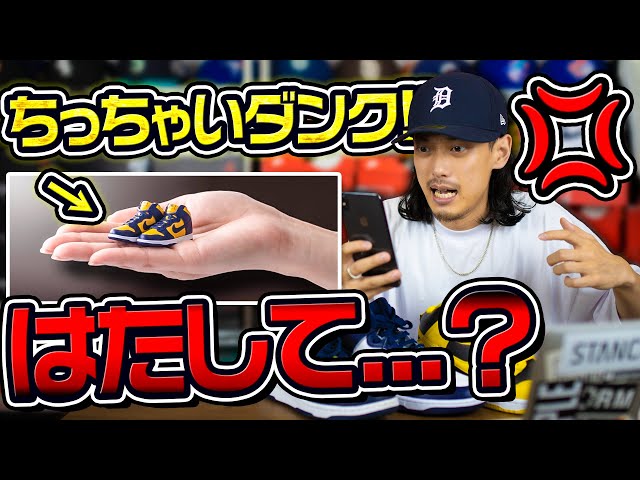 Gacha] Collect these! Palm-sized Dunks are here! [Sneakers] (Nike