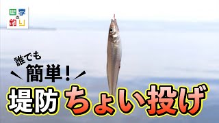 グレ五目 1m付・ケイムラフック | 釣り｜海釣り仕掛｜渓流仕掛