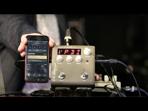 橋本・出原の音響井戸端会議「Voiceprint DI 徹底解析スペシャル