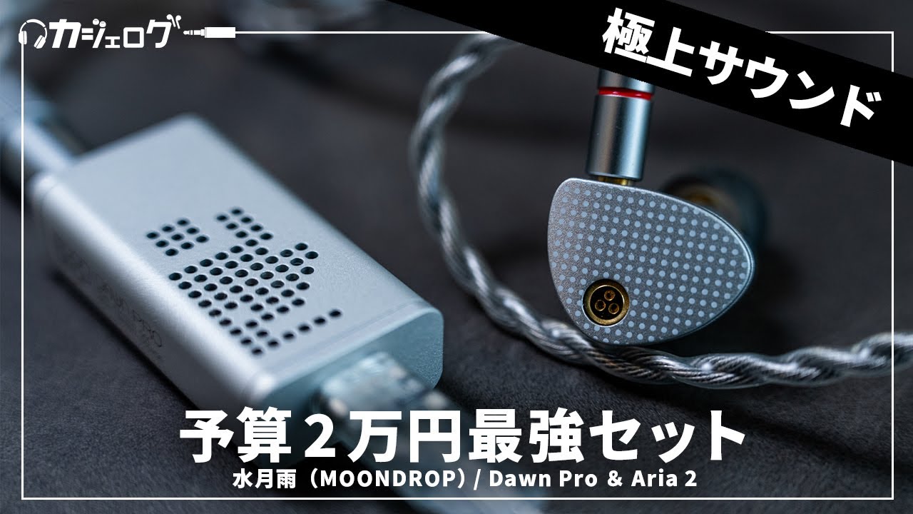 購入レビュー】あわせて約2万円で買えるコスパ最強のイヤホン&DAC 水月