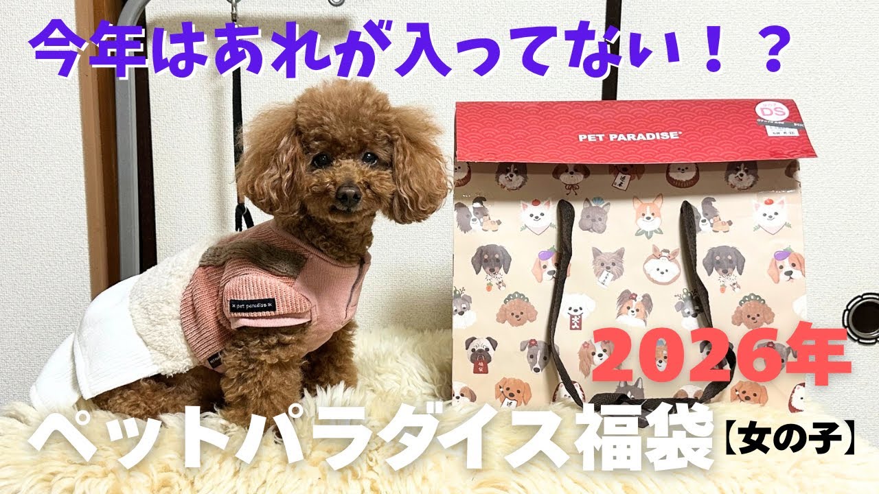 第613話【ペットパラダイス 福袋】2026年！のペットパラダイス福袋は