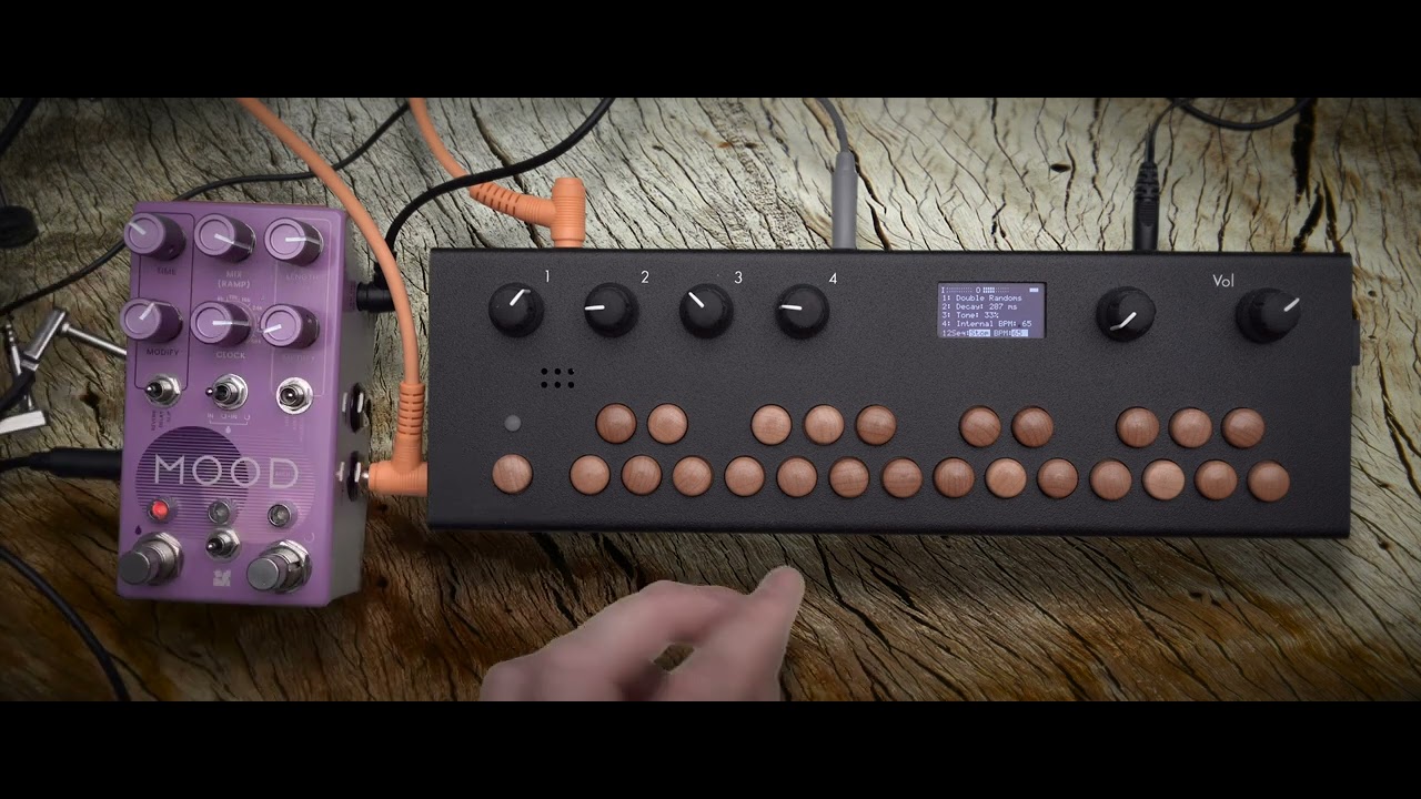 Critter & Guitari - Bolsa Bass Demo - YouTube