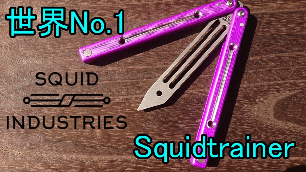 イカトレ】世界No.1 Squidtrainer レビュー - YouTube