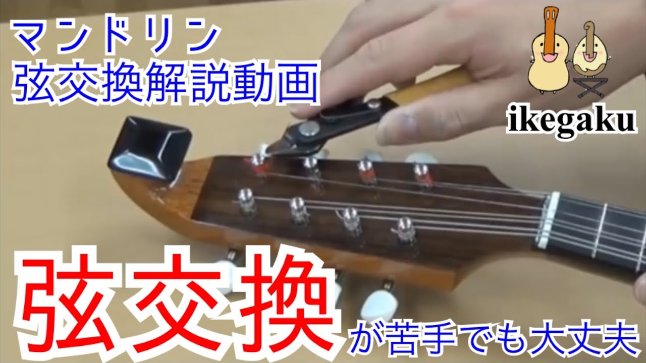 初心者でもできる】マンドリン弦交換の仕方～ナポリタイプ〜 change