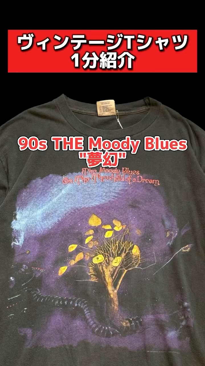 ヴィンテージTシャツ1分紹介】 90s THE Moody Blues 