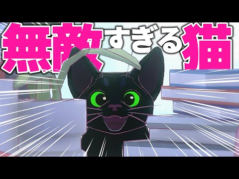 Watch in one go | Little Kitty Big City] A quick and easy open