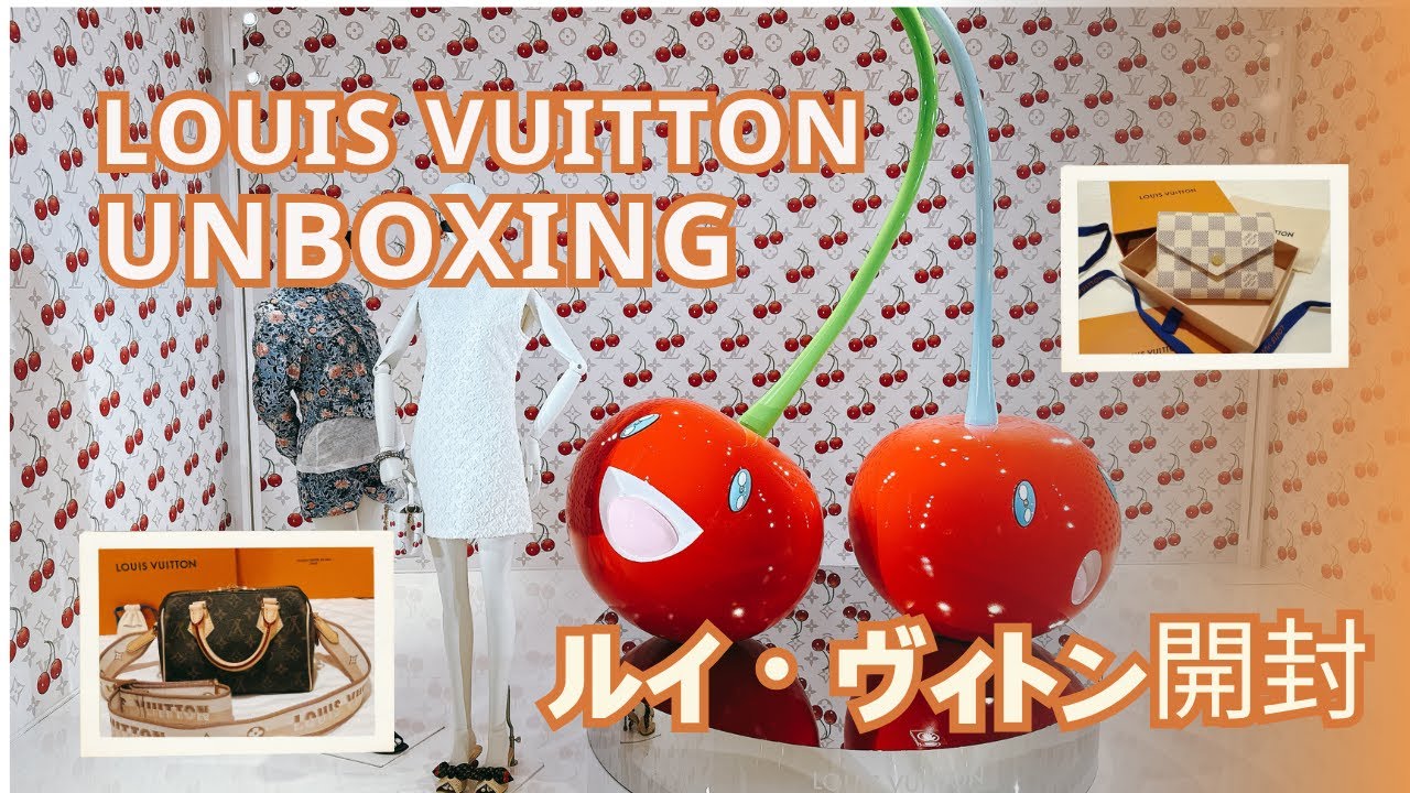 Louis Vuitton 包包＆皮夾開箱 Speedy 20&Victorine Wallet unboxing