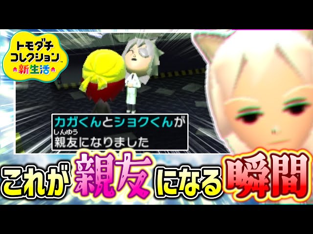 Tomodachi Collection New Life] We saw the moment they became best