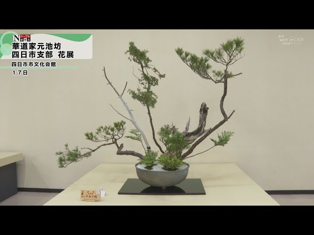 ケーブルNews】華道家元池坊四日市支部 花展 - YouTube