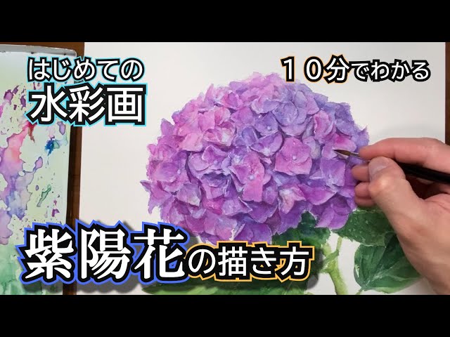 Beginners' Guide to Painting Hydrangeas in Three Dimensions
