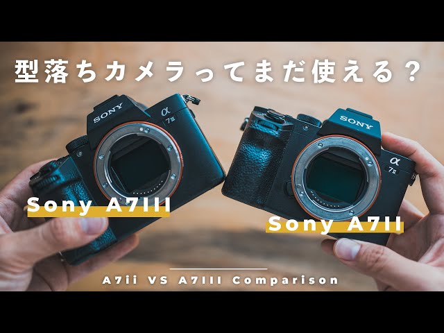 Sony α7II VS α7III】型落ちカメラってまだ使えるの？【結論：写真だけ