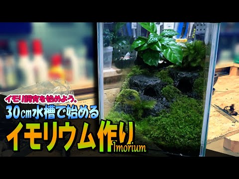 DIY】980円の30㎝水槽でも楽しめる！「イモリウム」 - YouTube