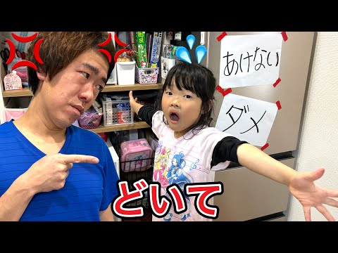 Koko-chan didn't want me to open the fridge, so what she hid in it