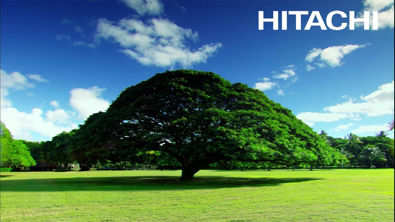 日立の樹」CM 樹と光編 - 日立 - YouTube