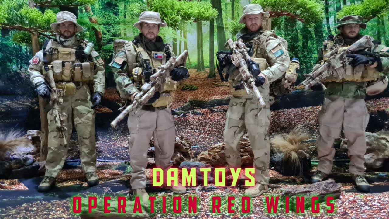 DAMTOYS 1:6 Operation Red Wings NAVY SEALS SDV TEAM 1 - YouTube