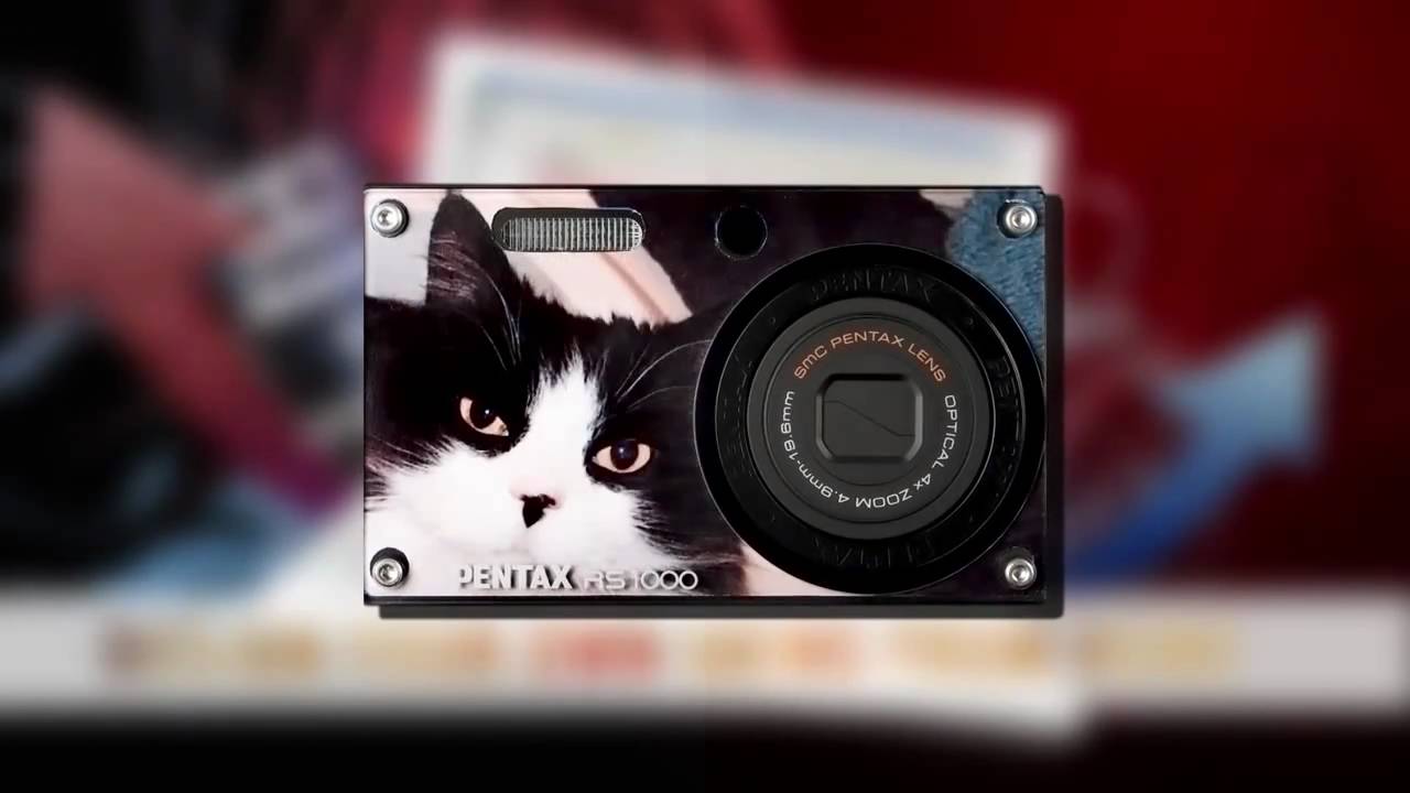 maxresdefault.jpg?sqp=-