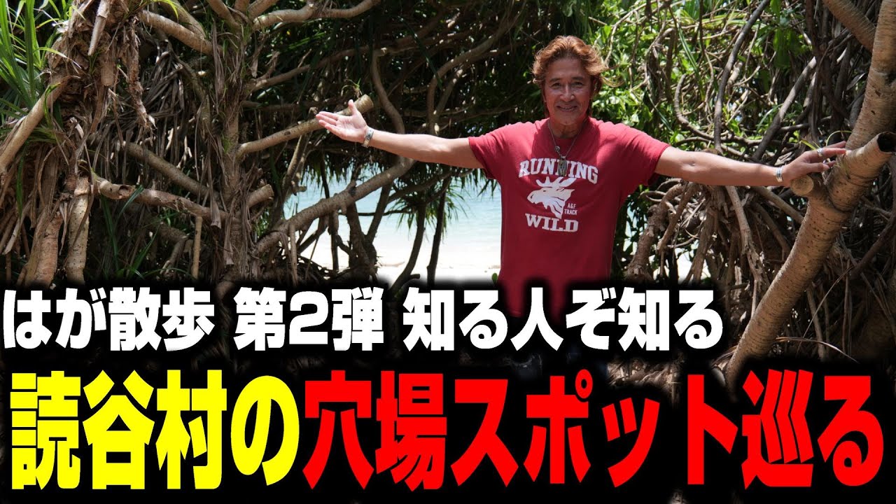 Goro's Permanent Edition] Kenji Haga's Goro's Jewelry Collection