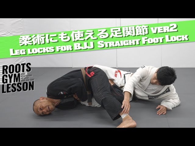 柔術にも使える足関節 ver2 【Leg locks for BJJ Straight Foot Lock