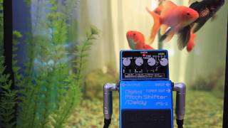 BOSS PS-2 Digital Pitch Shifter/Delay – Found Sound