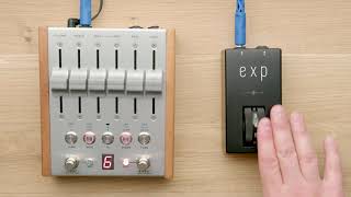 Chase Bliss Audio EXP [Expression Roller]（チェイスブリス