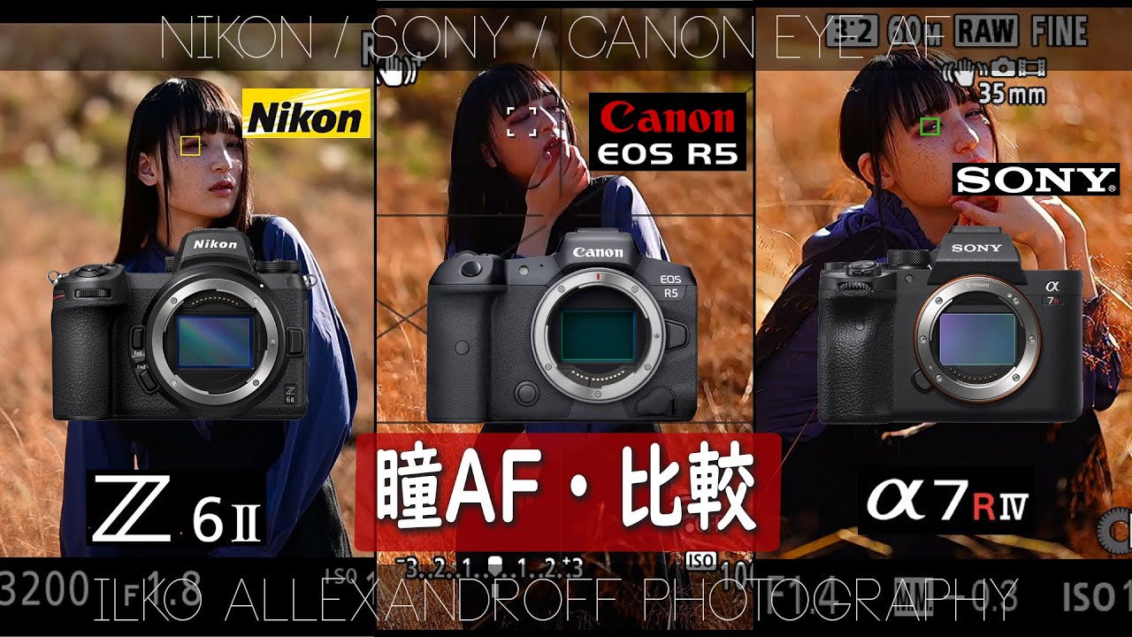 Eye AF Comparison! Nikon vs. Sony vs. Canon! Which is faster
