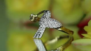 Hummingbird – quarantotto