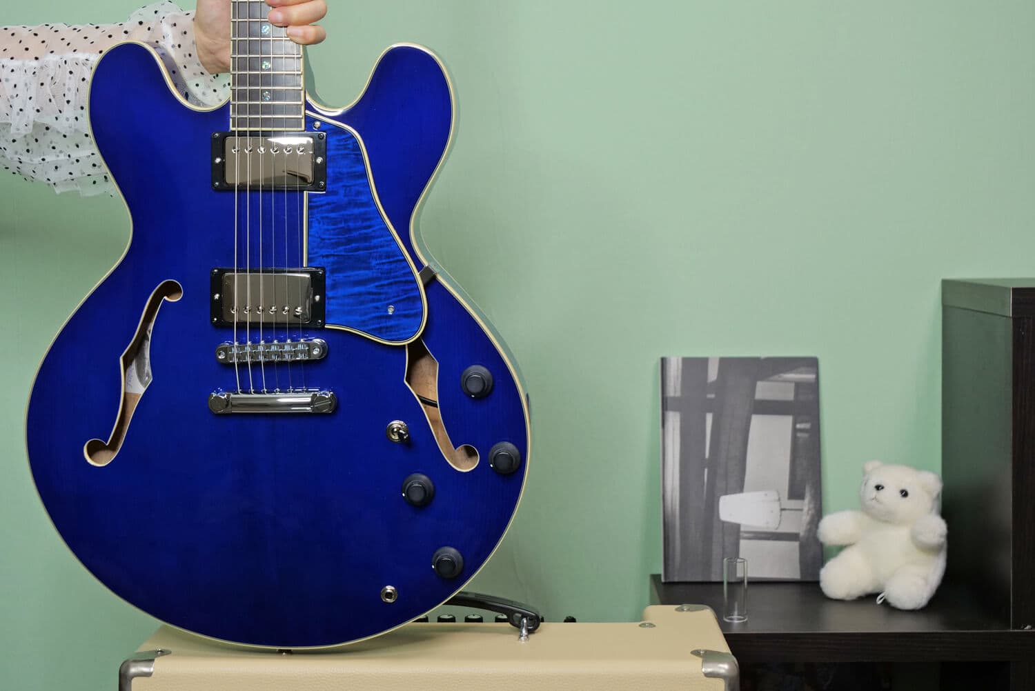 豊かで、力強いトーン「セミアコースティックギター特集」【エレキ