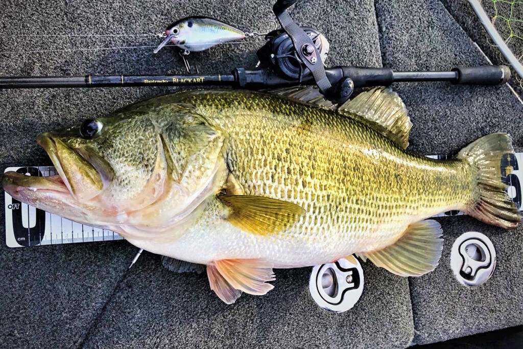 狙うはワールドレコード！究極のヘビーバーサタイルロッド！ゼナックの