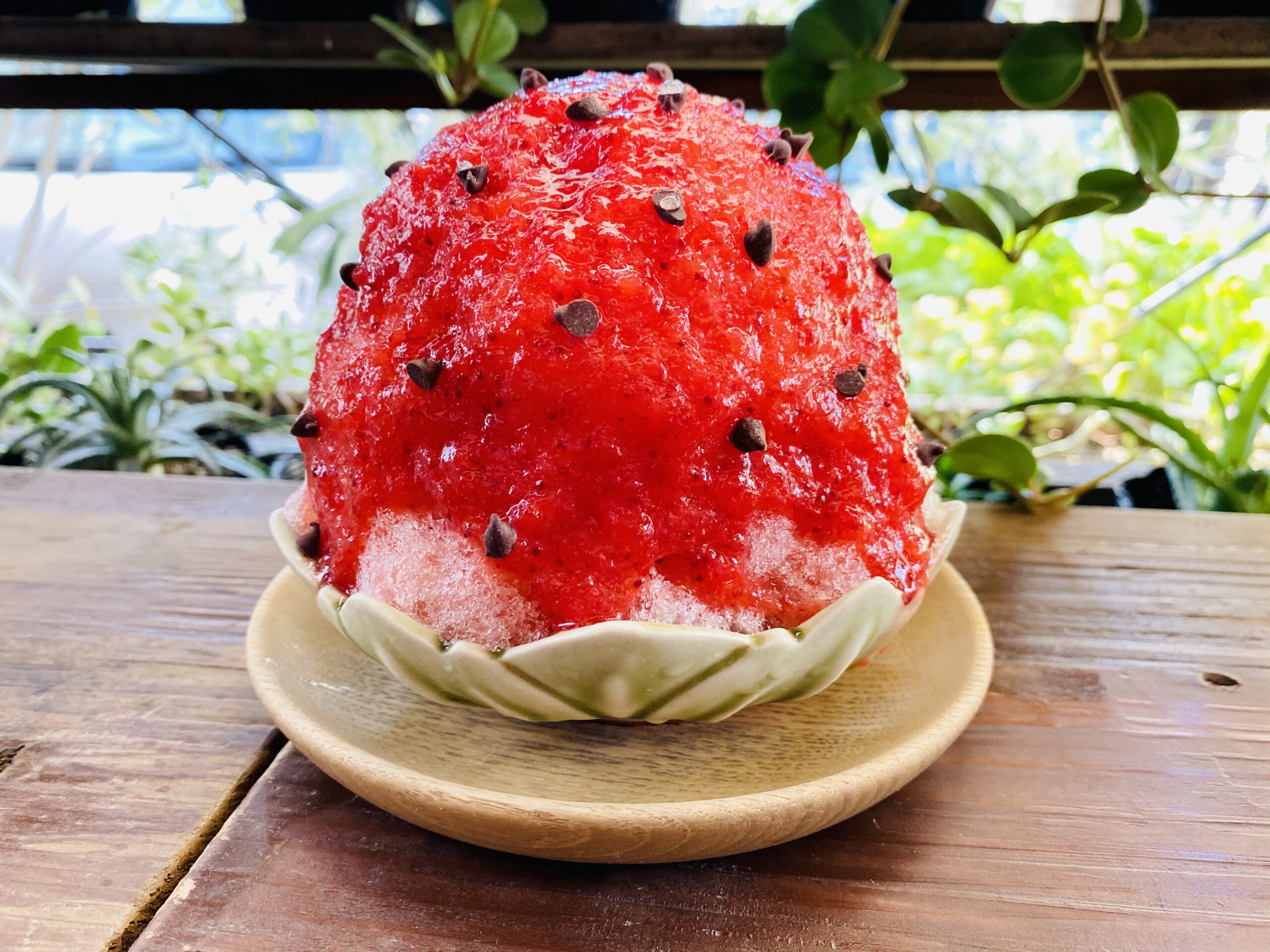 大阪 カフェ】帝塚山のかわいい＆美味しいかき氷のあるカフェ「森森舎