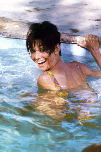 Iconic Archive : Emilio Pucci | Iconic Licensing